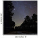 Stars Shine above Woods Wall Decal