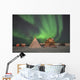 Northern Lights above Village Wall Decal Design 4
