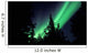 Aurora Borealis above Trees Wall Decal Design 4