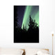 Aurora Borealis above Trees Wall Decal Design 3
