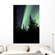 Aurora Borealis above Trees Wall Decal Design 3