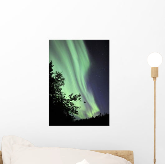 Aurora Borealis above Trees Wall Decal Design 2