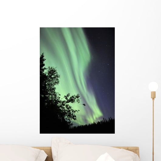 Aurora Borealis above Trees Wall Decal Design 2