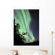 Aurora Borealis above Trees Wall Decal Design 2
