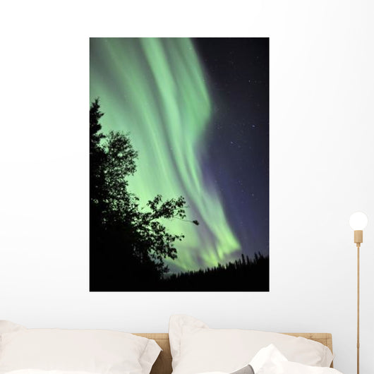 Aurora Borealis above Trees Wall Decal Design 2