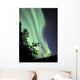 Aurora Borealis above Trees Wall Decal Design 2