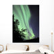 Aurora Borealis above Trees Wall Decal Design 2