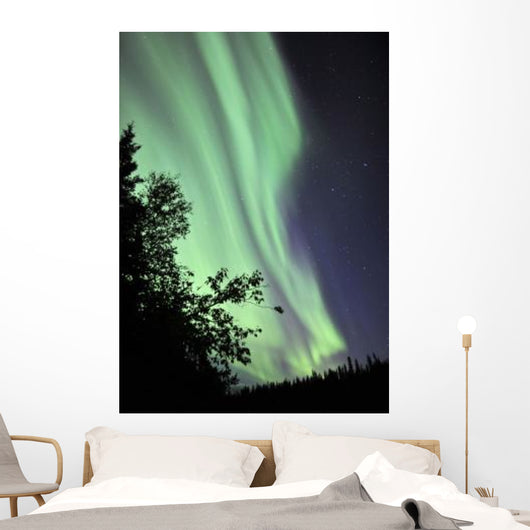 Aurora Borealis above Trees Wall Decal Design 2