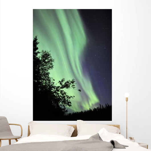Aurora Borealis above Trees Wall Decal Design 2