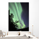 Aurora Borealis above Trees Wall Decal Design 2