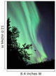 Aurora Borealis above Trees Wall Decal Design 2