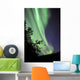 Aurora Borealis above Trees Wall Decal Design 1