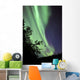 Aurora Borealis above Trees Wall Decal Design 1