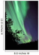 Aurora Borealis above Trees Wall Decal Design 1