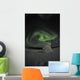 Aurora Borealis over Igloo Wall Decal Design 8