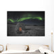 Aurora Borealis over Igloo Wall Decal Design 1