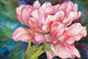 Double Tulip Wall Mural
