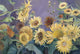 Sunflower In Purple Sky Wall Mural
