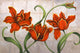Parrot Tulips Wall Mural