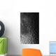 Rupes Recta Ridge and Wall Decal