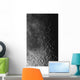 Rupes Recta Ridge and Wall Decal