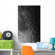 Rupes Recta Ridge and Wall Decal