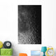 Rupes Recta Ridge and Wall Decal