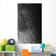 Rupes Recta Ridge and Wall Decal