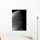 Craters Copernicus Plato Eratosthenes Wall Decal