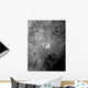 Lunar Crater Copernicus Surrounded Wall Decal