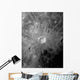 Lunar Crater Copernicus Surrounded Wall Decal