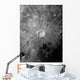 Lunar Crater Copernicus Surrounded Wall Decal