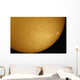 Mercury Solar Transit with Wall Decal