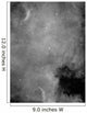 North America Nebula Wall Decal Design 2