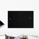 Galaxies Ngc 4559 and Wall Decal