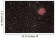 Cocoon Nebula Wall Decal Design 2
