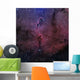 Elephant Trunk Nebula Wall Decal