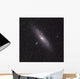 Andromeda Galaxy Wall Decal