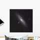 Andromeda Galaxy Wall Decal
