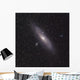 Andromeda Galaxy Wall Decal
