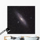 Andromeda Galaxy Wall Decal