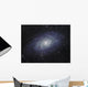 Triangulum Galaxy Wall Decal
