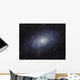 Triangulum Galaxy Wall Decal