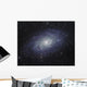 Triangulum Galaxy Wall Decal