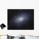 Triangulum Galaxy Wall Decal