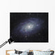 Triangulum Galaxy Wall Decal