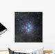 Pleiades Surrounded Dust and Wall Decal