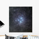 Pleiades Surrounded Dust and Wall Decal
