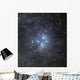 Pleiades Surrounded Dust and Wall Decal