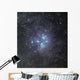 Pleiades Surrounded Dust and Wall Decal